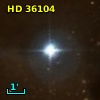 HD  36104