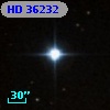 HD  36232