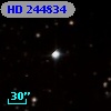 HD 244834