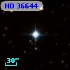 HD  36644