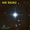 HD  36262