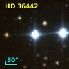HD  36442