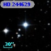 HD 244629