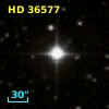 HD  36577