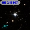 HD 245167