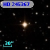 HD 245367