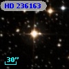 HD 236163