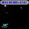 IRAS 05309+1242