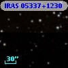 IRAS 05337+1230
