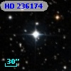 HD 236174
