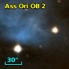 Ass Ori OB   2-
