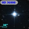 HD  36000