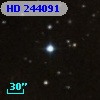 HD 244091