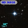 HD  36010