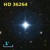 HD  36264