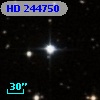 HD 244750
