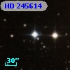 HD 245614