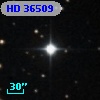 HD  36509