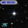 HD  36556
