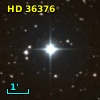 HD  36376