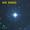 HD  36895