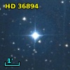 HD  36894