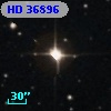 HD  36896