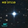 HD  37110