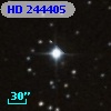 HD 244405