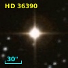 HD  36390
