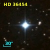HD  36454