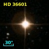 HD  36601