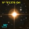 V* V1376 Ori
