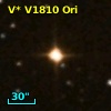 V* V1810 Ori