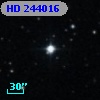 HD 244016