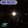 HD  36233