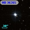 HD  36265