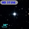 HD  37186