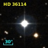 HD  36114