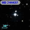 HD 244437