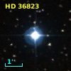 HD  36823