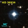 HD  36934