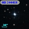 HD 244459