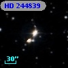 HD 244839