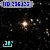 HD 236125