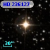 HD 236127