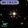 HD 236129
