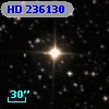 HD 236130