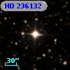HD 236132