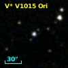 V* V1015 Ori
